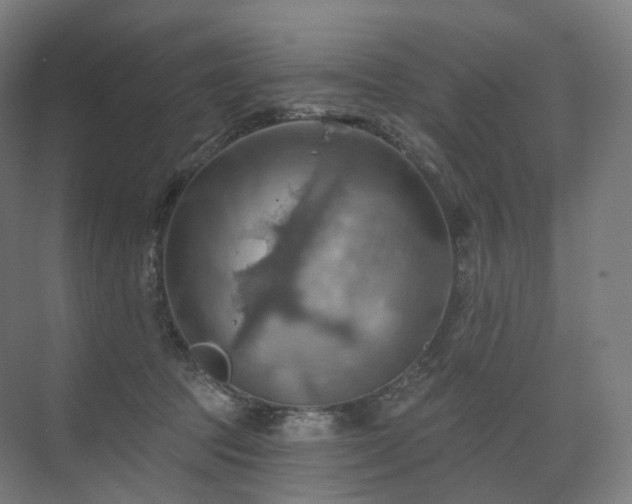 X0000075830369200609151244