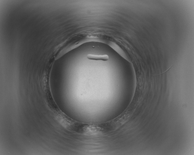 X0000075830372200609151245