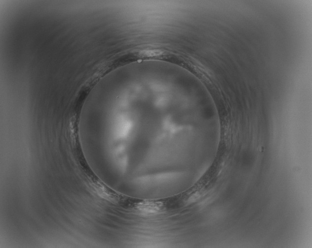 X0000075830373200609151245