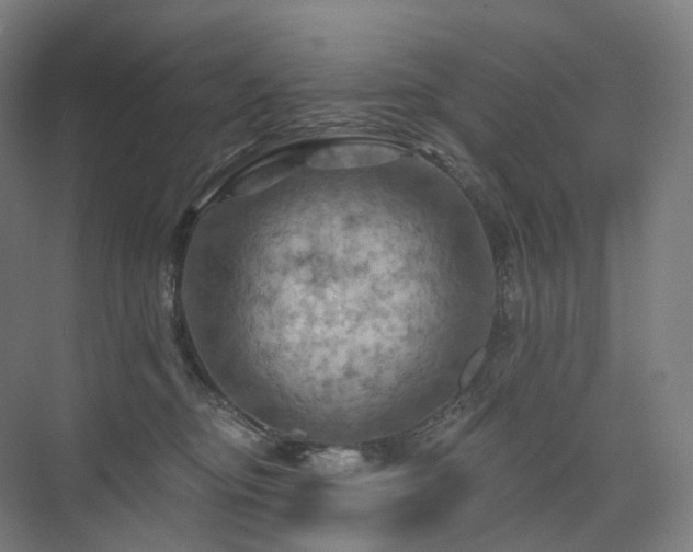 X0000075830374200609151245