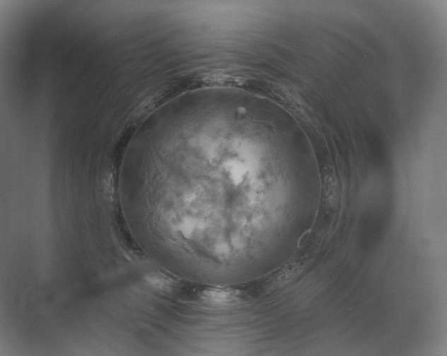 X0000075830375200609151245