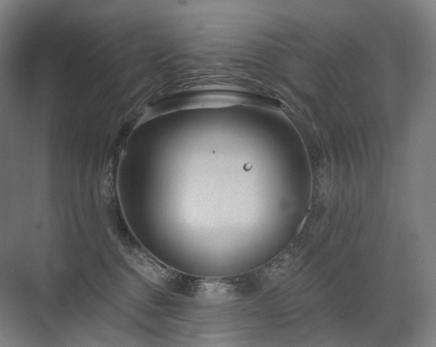 X0000075830376200609151245