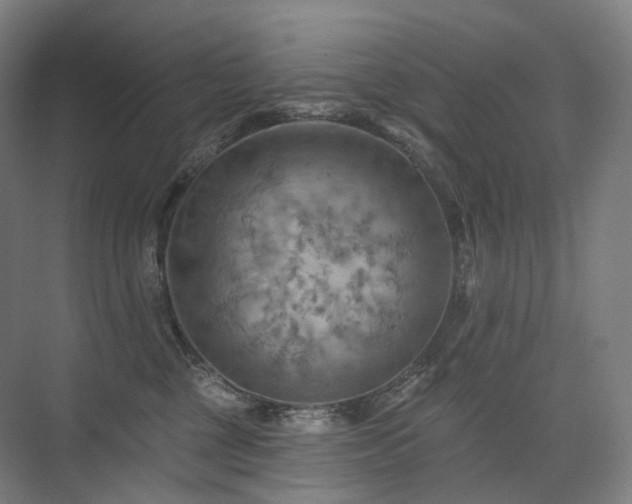 X0000075830377200609151245