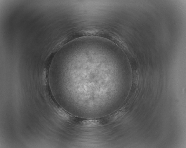 X0000075830378200609151245