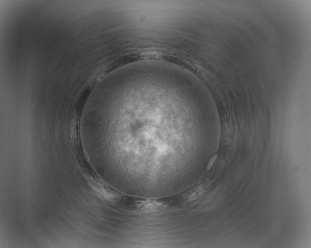 X0000075830379200609151245