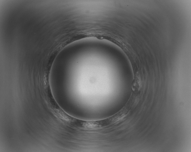 X0000075830380200609151245