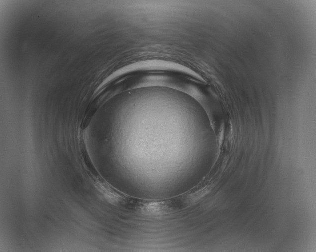 X0000075830382200609151245