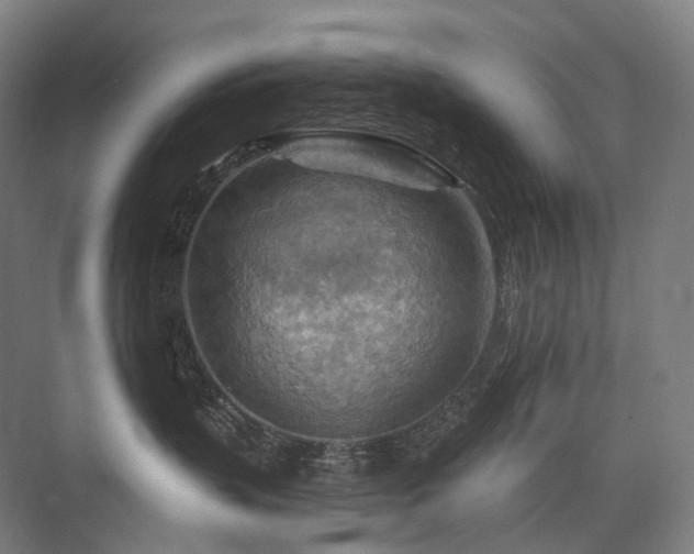 X0000075830383200609151245