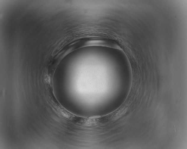 X0000075830384200609151245