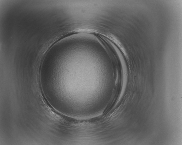 X0000075830385200609151244