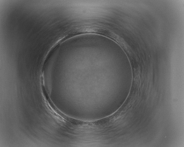 X0000075830386200609151244