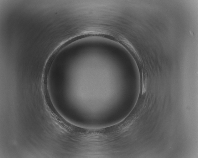 X0000075830387200609151244