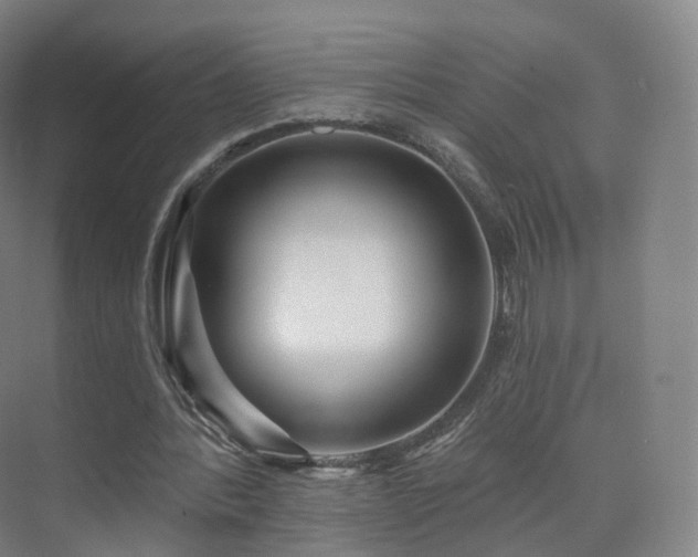 X0000075830388200609151244