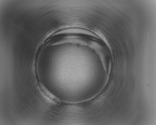 X0000075830389200609151244