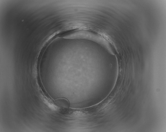 X0000075830390200609151244