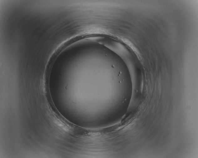 X0000075830391200609151244