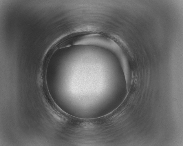 X0000075830392200609151244