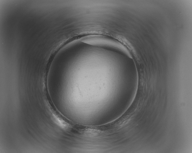 X0000075830393200609151244