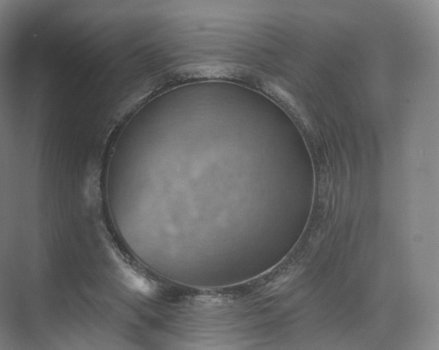 X0000075830394200609151244