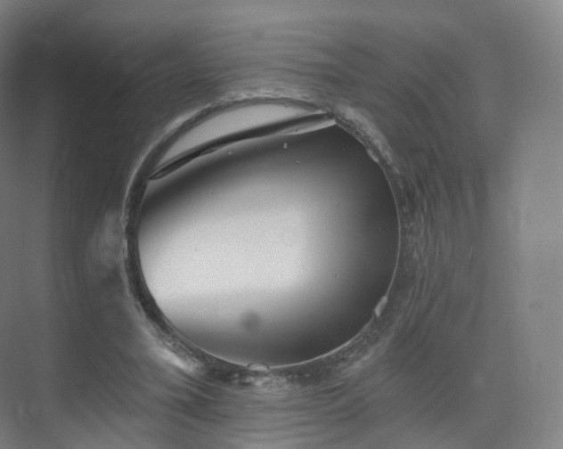 X0000075830395200609151244