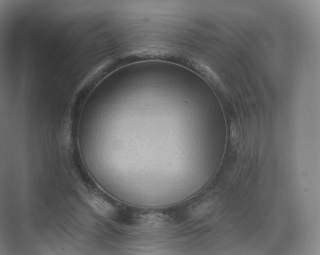 X0000075830396200609151244