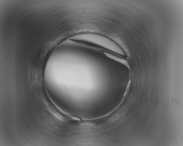 X0000075830397200609151244