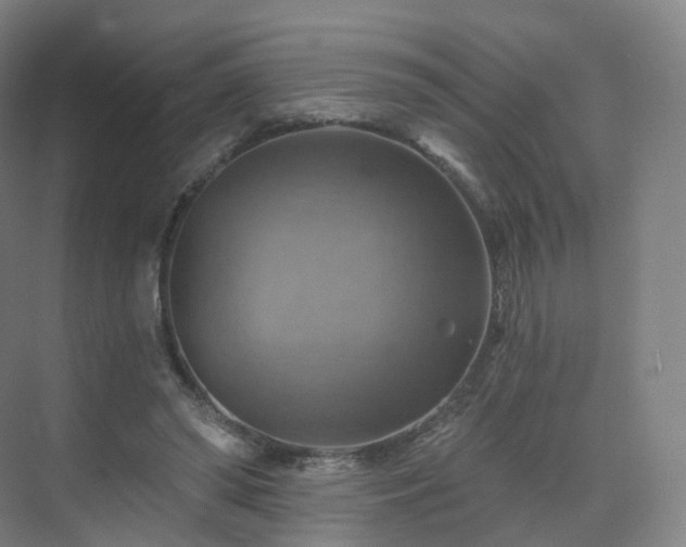 X0000075830398200609151244