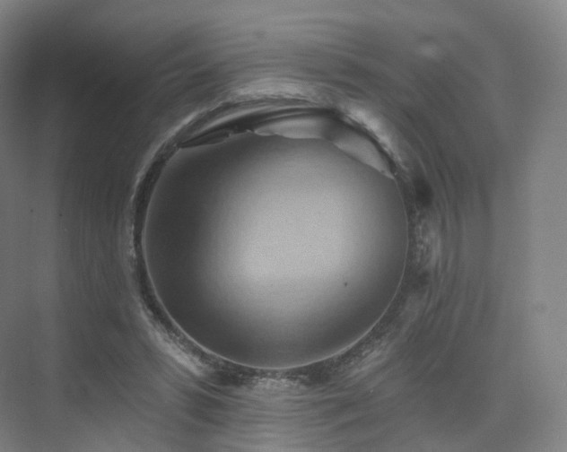 X0000075830399200609151244