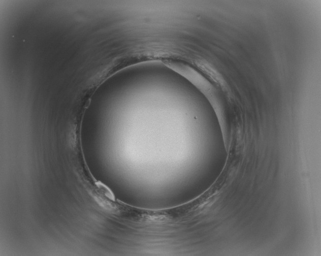 X0000075830401200609151244