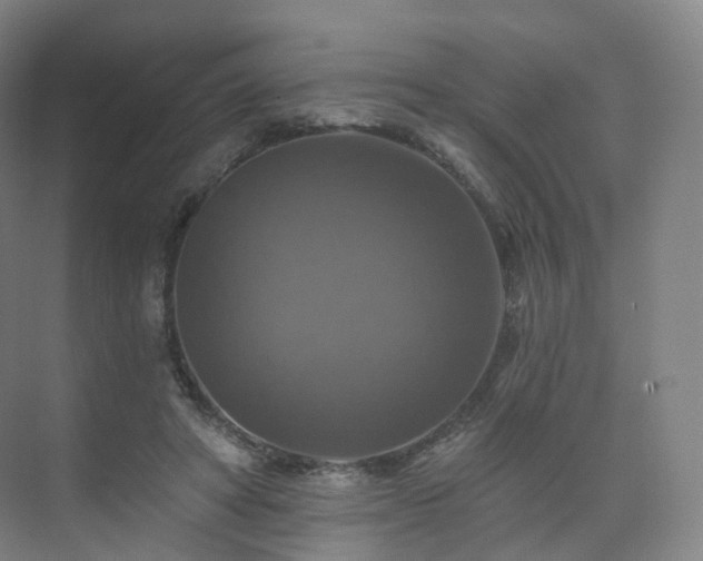 X0000075830402200609151244