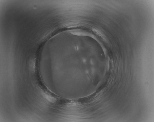 X0000075830404200609151244