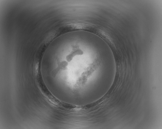 X0000075830406200609151244