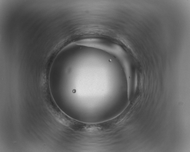 X0000075830407200609151244