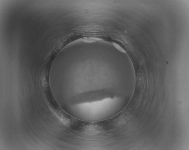 X0000075830408200609151244