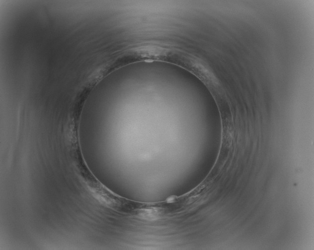 X0000075830411200609151243