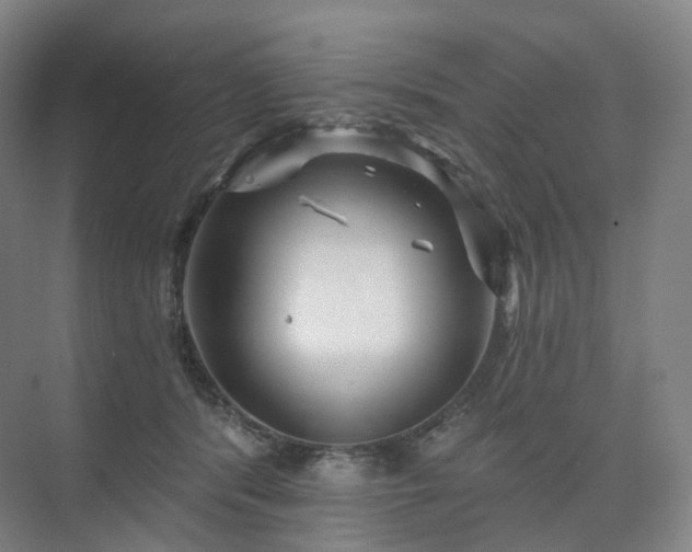 X0000075830416200609151243