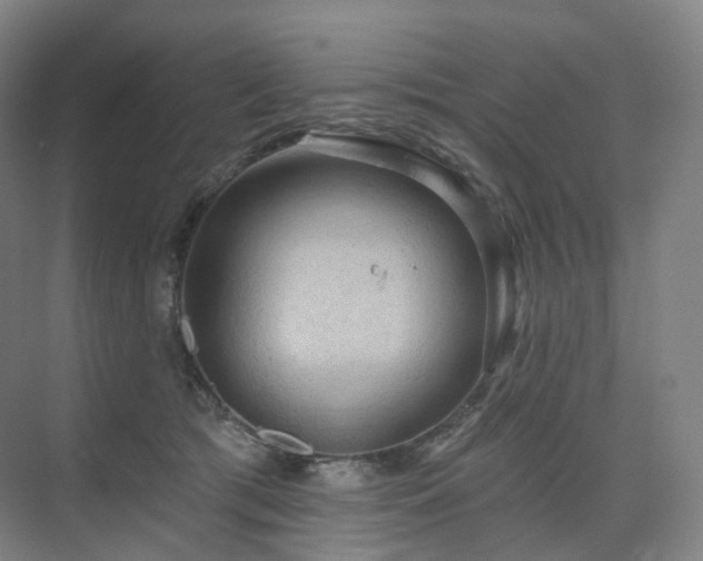 X0000075830417200609151243