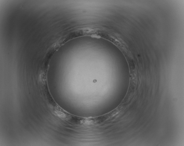 X0000075830419200609151243