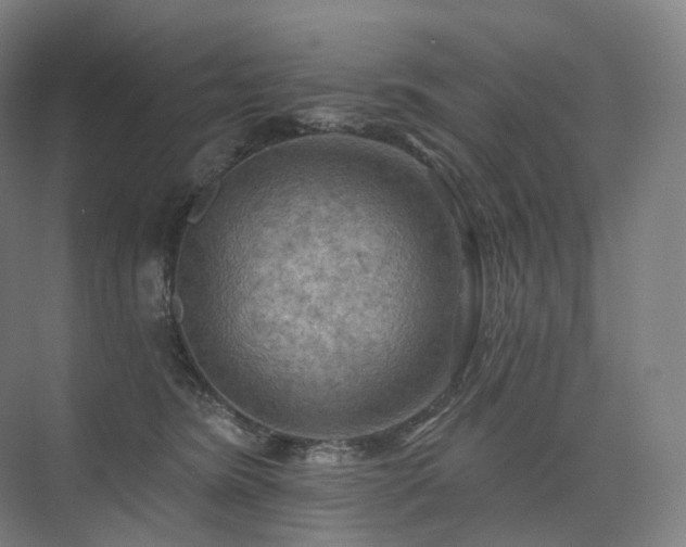 X0000075830420200609151243