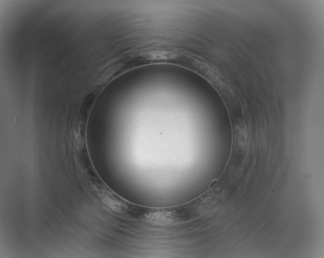 X0000075830422200609151243