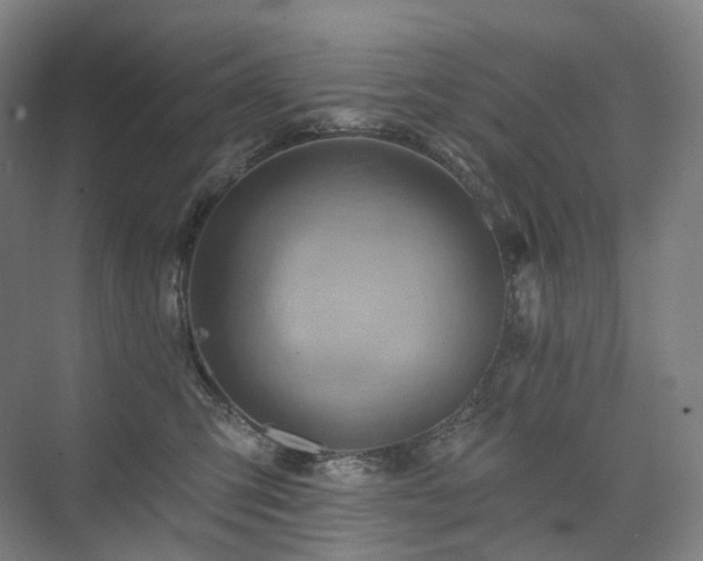 X0000075830423200609151243