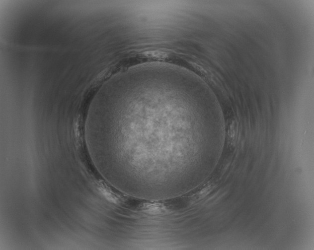 X0000075830424200609151243