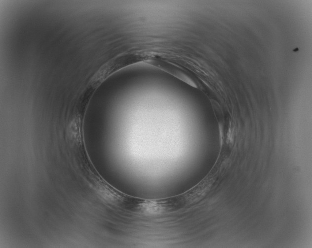 X0000075830425200609151243