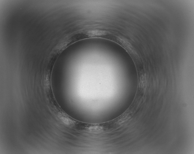 X0000075830426200609151243