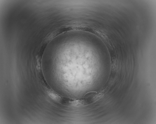 X0000075830430200609151243