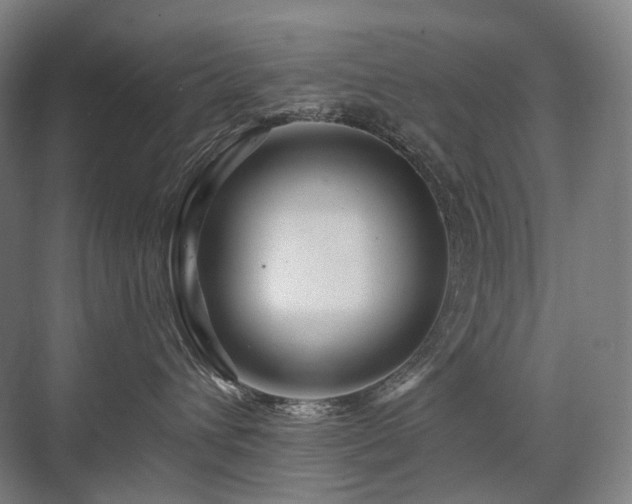 X0000075830432200609151243