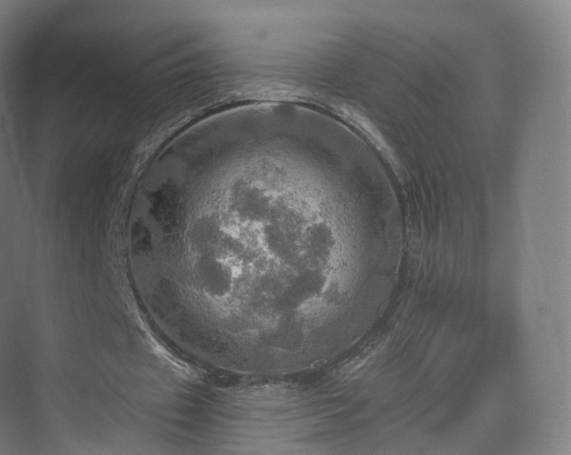 X0000075830433200609151242