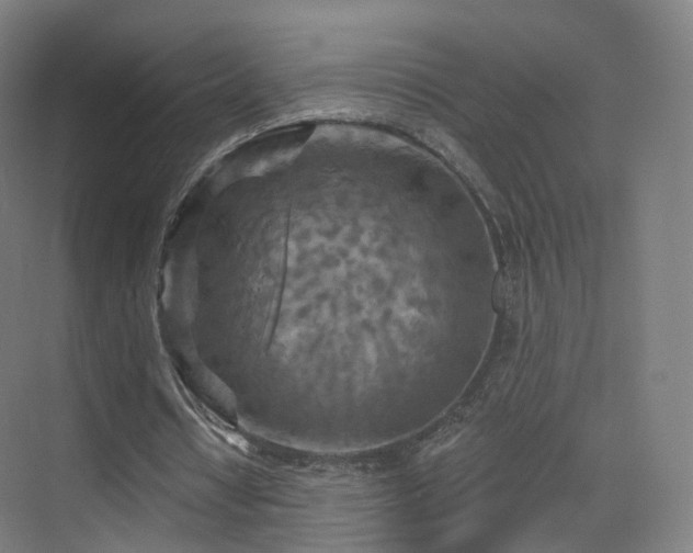 X0000075830434200609151242