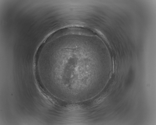 X0000075830435200609151242