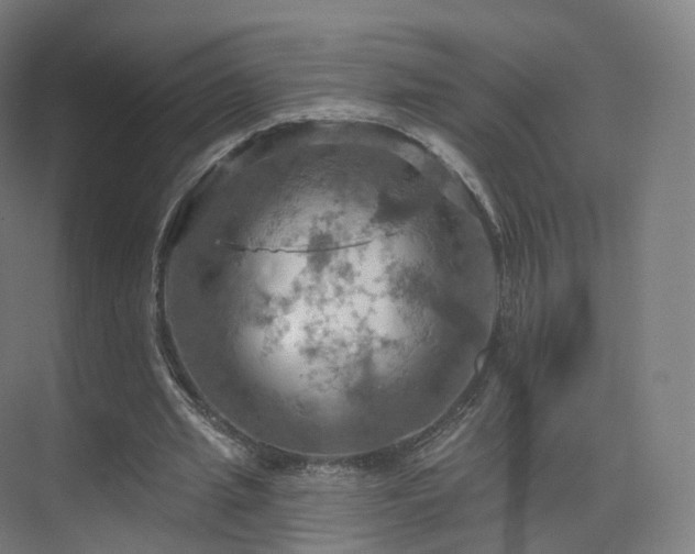 X0000075830437200609151242